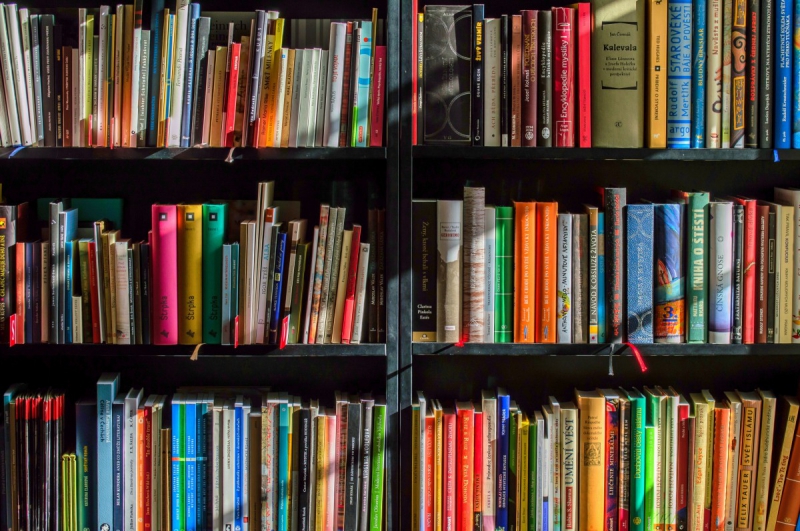 boutique-LE LAVANDOU-min_books_bookstore_book_reading_shop_writer_sale_books_read-822866